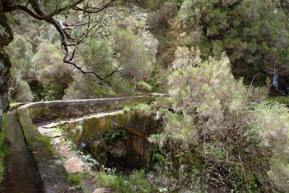 Madeira: Rabaçal Valleys 3-Hour Guided Walk - Should you book this 3-hour Rabaçal Valleys guided walk?