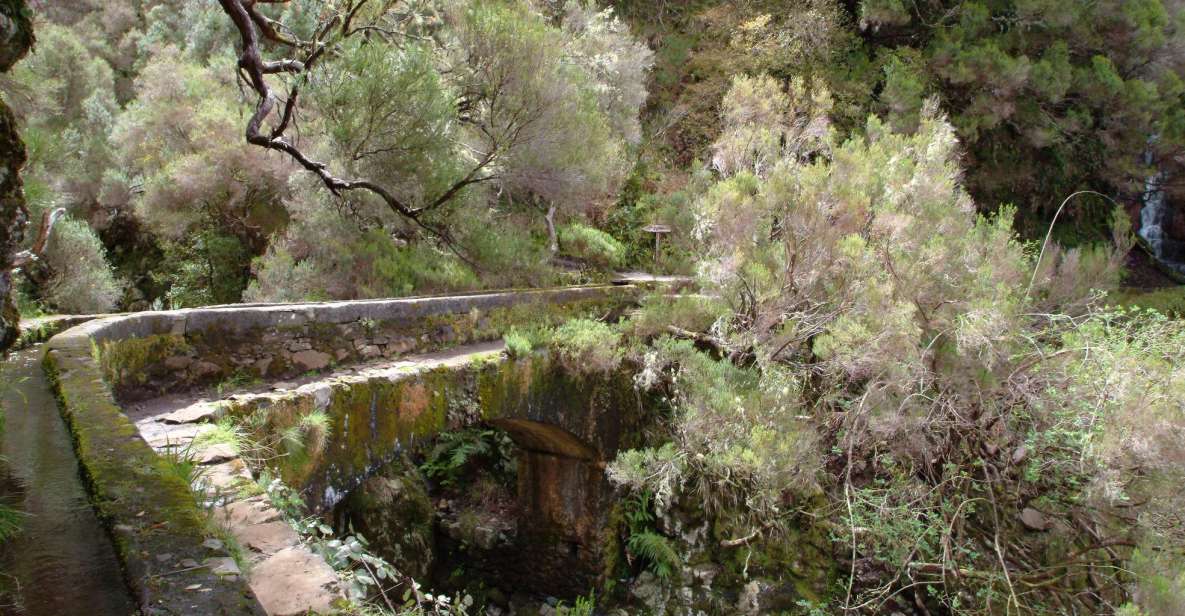 Madeira: Rabaçal Valleys 3-Hour Guided Walk - Walking through the Laurisilva UNESCO forest (and what to look for)