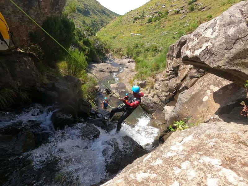Madeira : Ribeira das Cales Canyoning (Level 1) - Should You Book Ribeira das Cales Canyoning Level 1?