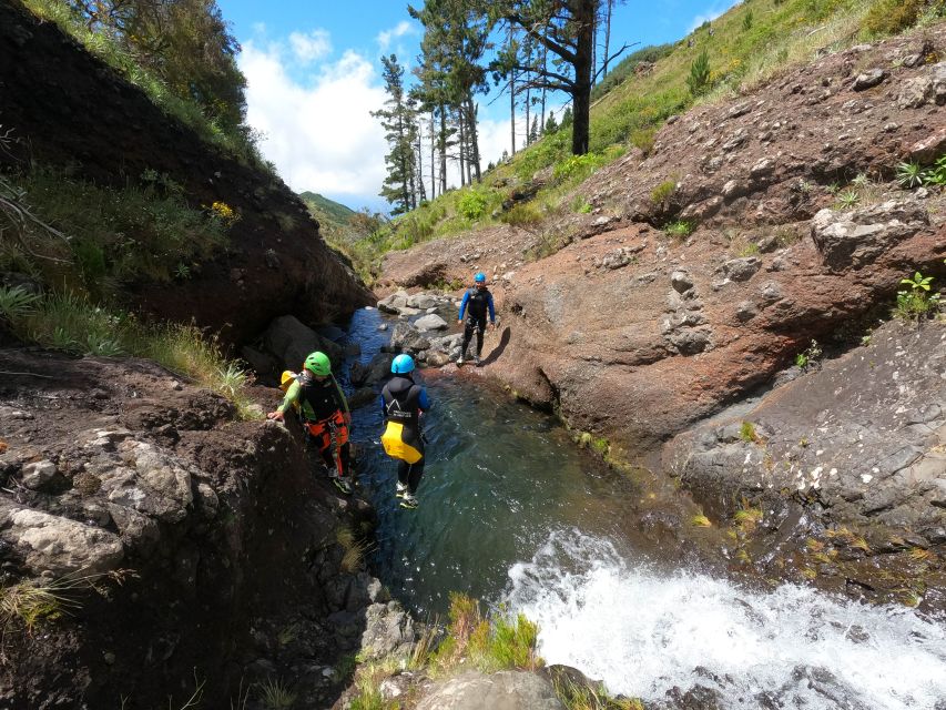 Madeira : Ribeira das Cales Canyoning (Level 1) - Price and Value: Is $80 Worth It for Beginners?