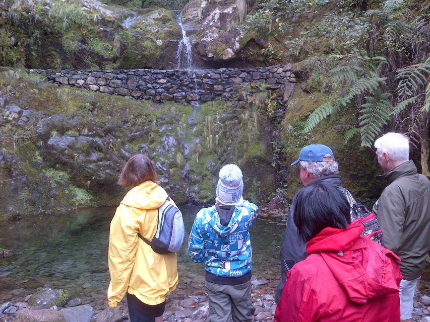 Madeira: Ribeiro Frio to Portela 4-Hour Guided Walk - Key highlights to know before you go