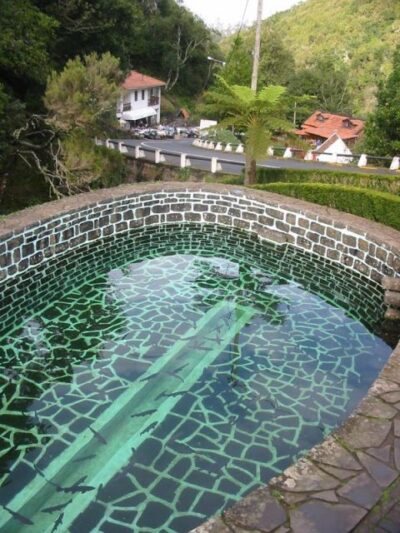 Madeira: Ribeiro Frio to Portela 4-Hour Guided Walk - Levada walking and the best viewpoints over Porto da Cruz