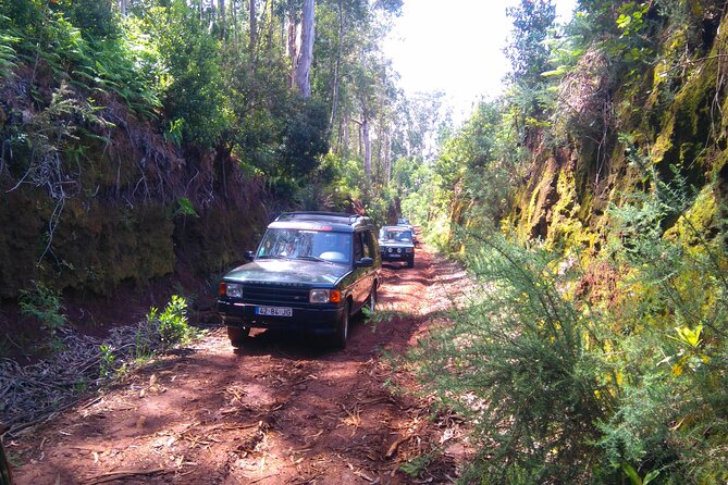 Madeira Safari - East of the island - Pickup from Funchal and the feel of a small-group morning