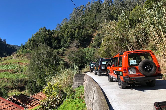 Madeira Safari - East of the island - Santana: terraces, villages, and the charm that starts early