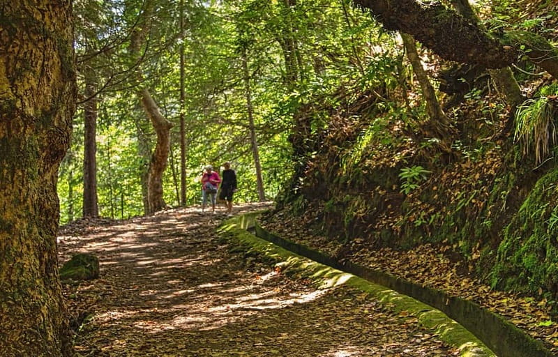 Madeira: Santana Jeep Safari and Balções Levada Walk - Price and value: what $71 buys on an 8-hour loop
