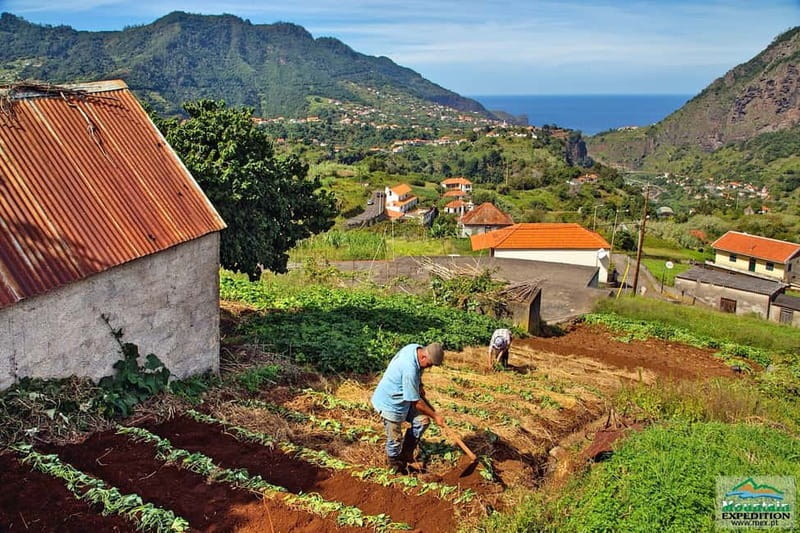 Madeira: Santana Jeep Safari and Balções Levada Walk - Porto da Cruz: rum distillery stop for Madeira rum fans