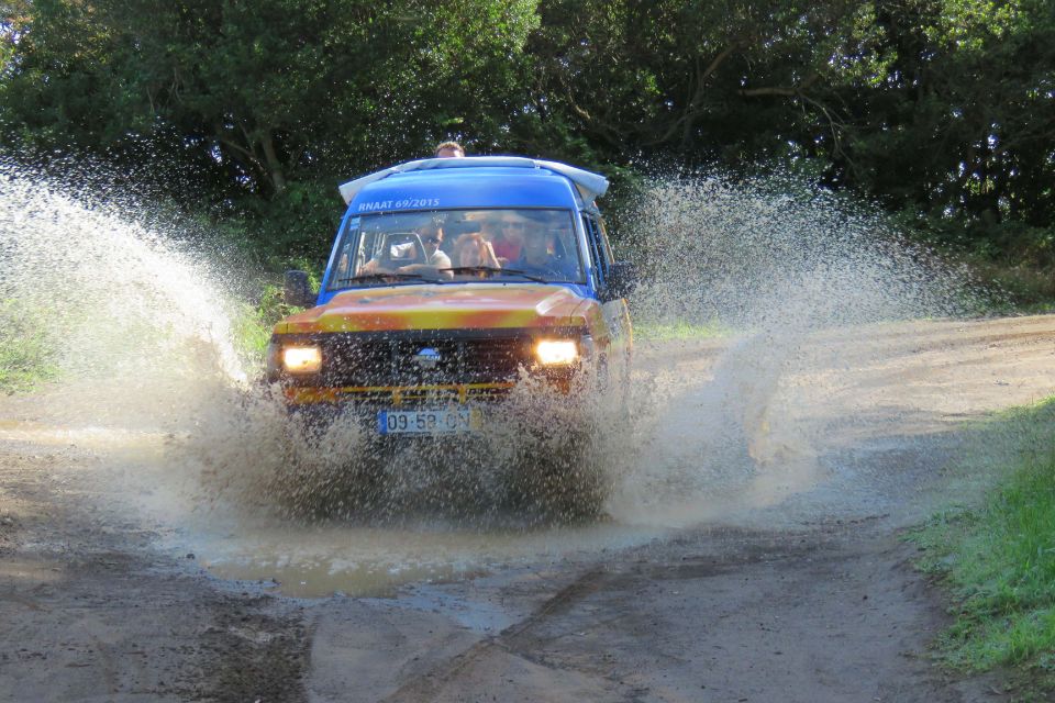 Madeira : Santana & Peaks full day tour by Open 4x4 - Food stops, poncha breaks, and what lunch might cost