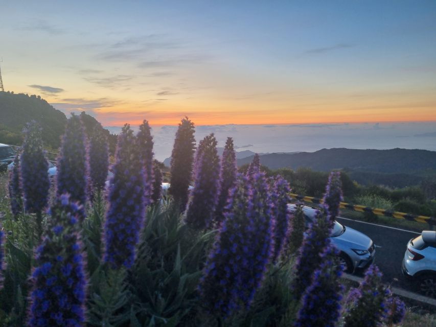 Madeira : Santana, Pico Arieiro, walk full day 4x4 Jeep tour - The Role of the Guide-Driver on This Route