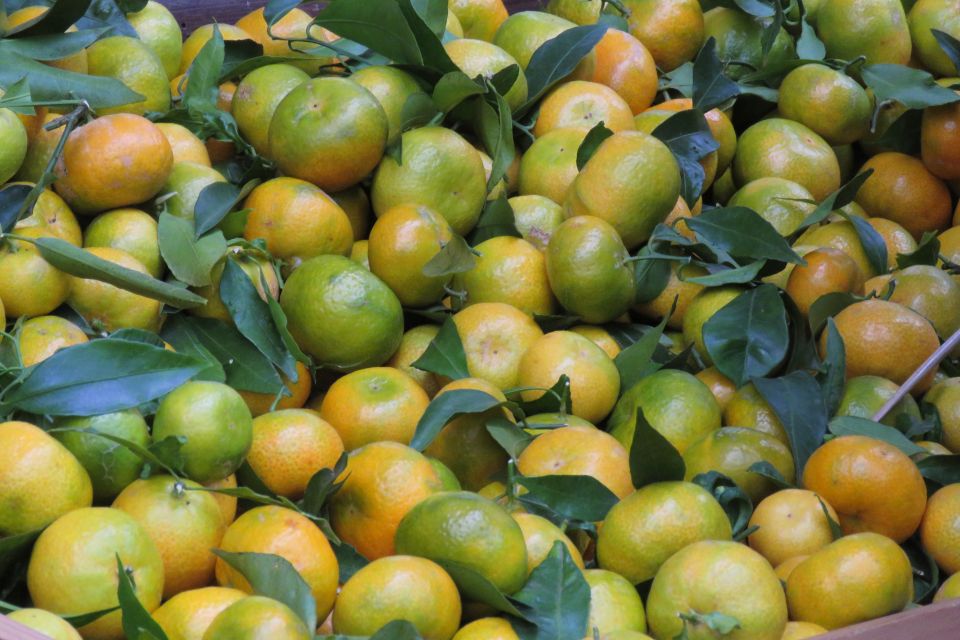 Madeira : Santo de Serra Local Farmers' Market half day trip - Key Highlights You’ll Feel Immediately
