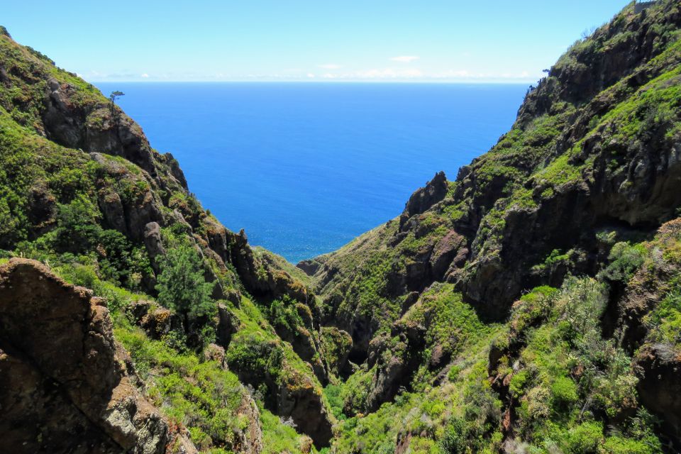 Madeira : Santo de Serra Local Farmers' Market half day trip - Christ the King Viewpoint: The “Why This Island Works” Stop