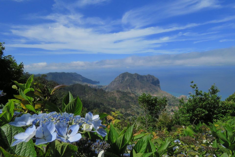 Madeira : Santo de Serra Local Farmers' Market half day trip - Price and Value: Is $49 a Fair Deal?