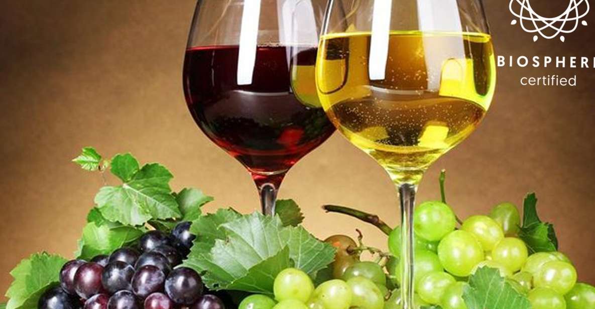 Madeira: Signature Wine Tasting, Skywalk & Nature Expedition - São Vicente off-roading: north-coast views that feel earned