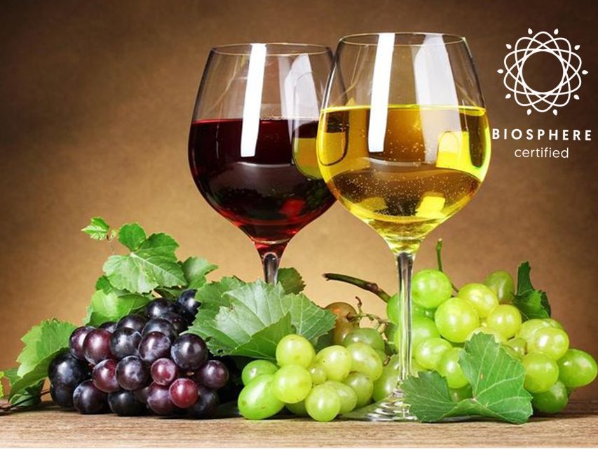 Madeira: Signature Wine Tasting, Skywalk & Nature Expedition - Quinta do Barbusano: learning Madeira wine through the vineyard story