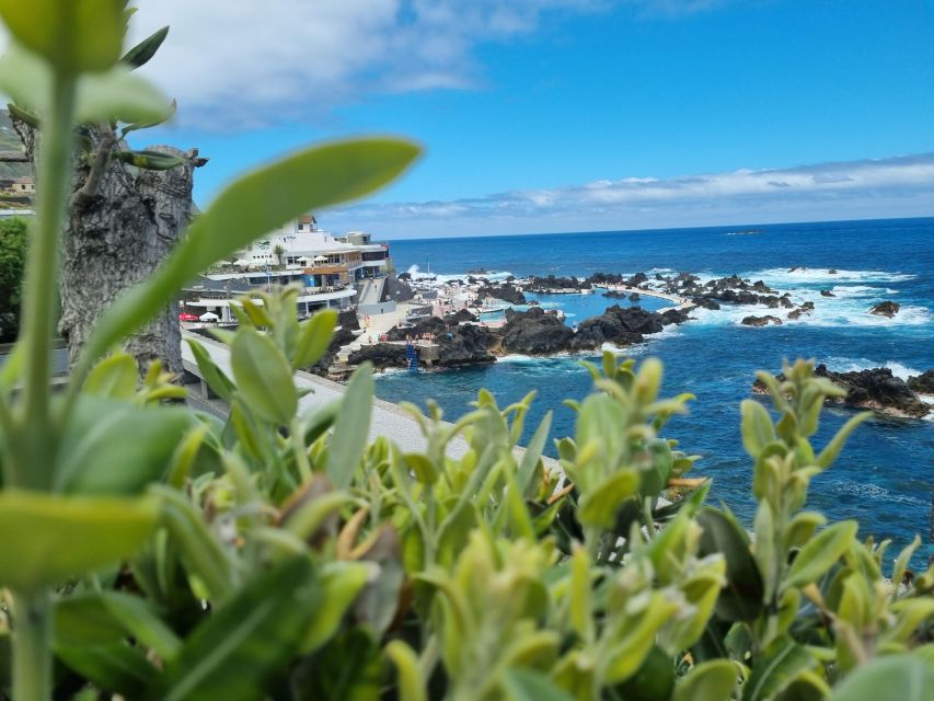 Madeira : SkyWalk, Fanal, Natural Pools 4x4 Jeep Tour - Seixal and São Vicente: finishing on the coast