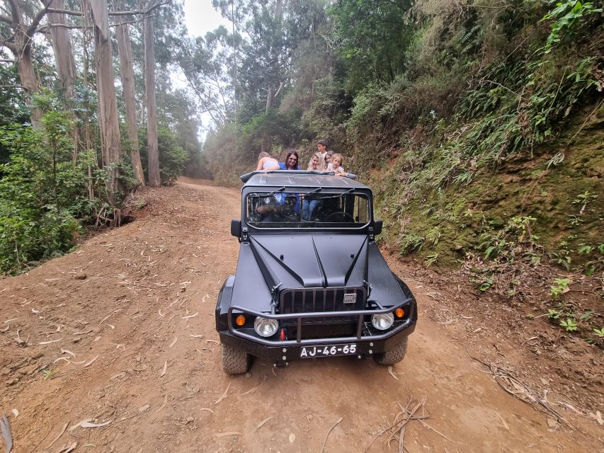 Madeira : SkyWalk, Fanal, Natural Pools 4x4 Jeep Tour - Câmara de Lobos: the fishing village intro you don’t want to skip