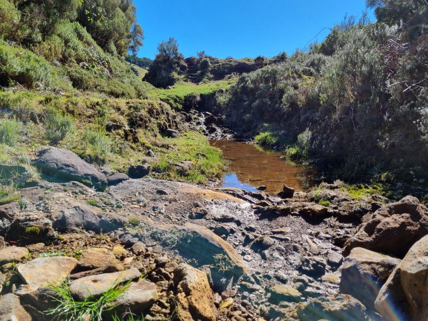 Madeira : SkyWalk, Fanal, Natural Pools 4x4 Jeep Tour - Cabo Girão and the glass platform: 580 meters of SkyWalk views