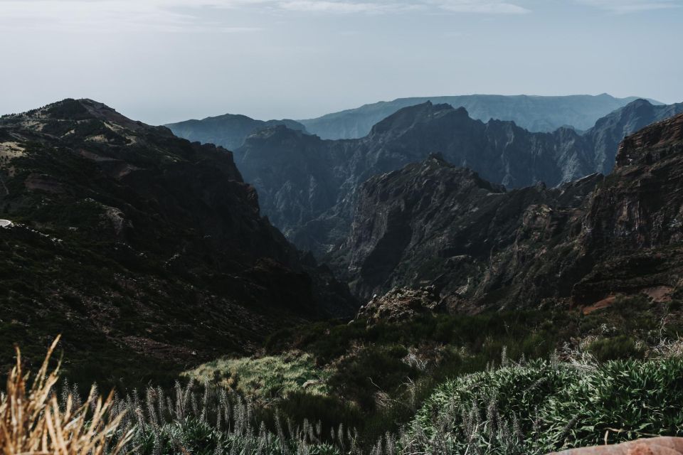 Madeira: Small group East tour ( Pico Arieiro , Santana) - Laurisilva at Ribeiro Frio: The Walk That Adds Variety
