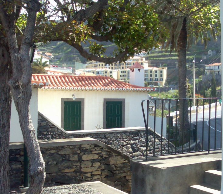 Madeira South West: Half Day Private Tour - Câmara de Lobos: The Fishing Town Start That Sets the Mood