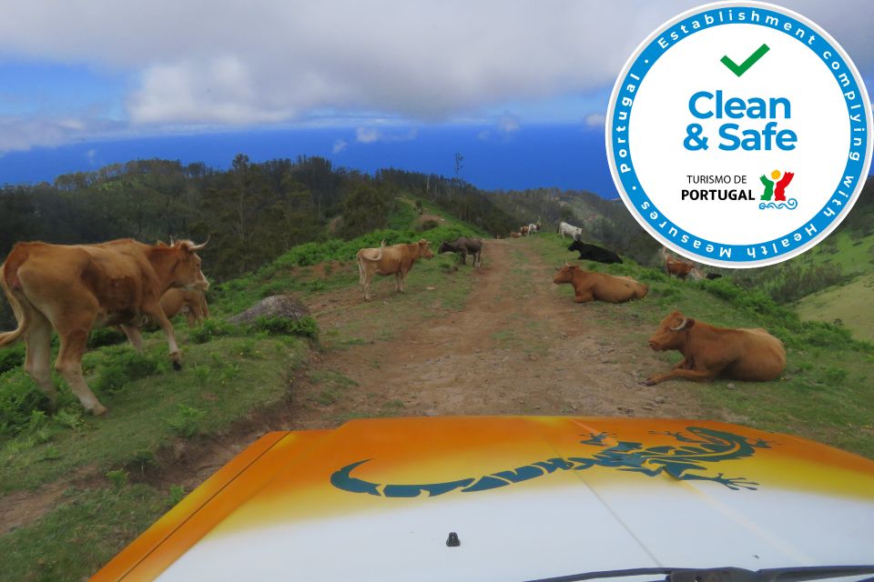 Madeira : Southwest coast, Run & Anjo´s Waterfall 4x4 Tour - Fonte do Bispo, forest time, and working the land without machinery
