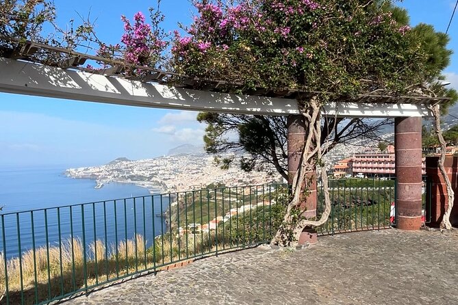 Madeira Special City Tuk Tuk Tour and Viewpoints by MadTuk - What’s included vs. what costs extra