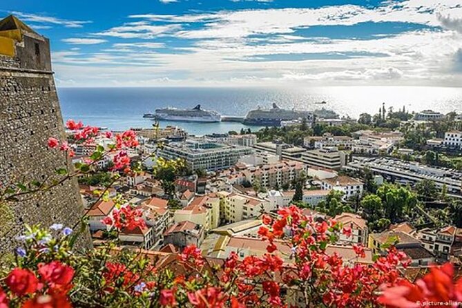 Madeira Special City Tuk Tuk Tour and Viewpoints by MadTuk - Best for: who will love this tour most