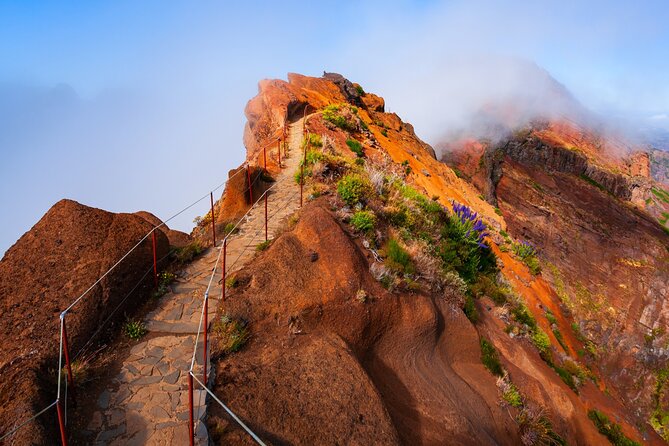 Madeira Stairway to Heaven to Larano Hike Mountain to Sea - Key moments you’ll care about