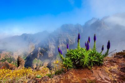 Madeira Stairway to Heaven to Larano Hike Mountain to Sea - Stairway to Heaven: the walk that starts with a serious view
