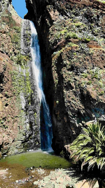 Madeira: Sunny South Side - Cabo Girão, Waterfalls, C. Lobos - Who this tour suits best (and who should skip it)