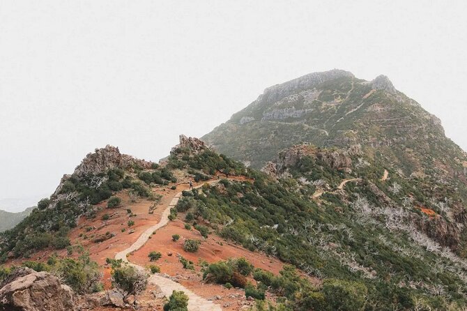 Madeira: Sunrise at Pico do Arieiro & Hike Larano trail - Timing and transport: what a shared tour means for your schedule