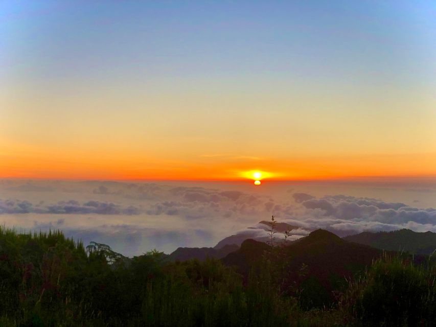 Madeira: Sunrise at Pico do Arieiro & Hike Larano trail - Should you book this sunrise and Larano hike?
