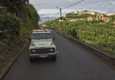 Madeira: The Best of South Jeep Tour - Price and What $68 Really Covers