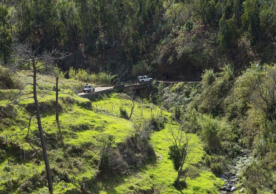 Madeira: The Best of South Jeep Tour - Ponta de São Lourenço: When Coastal Drama Makes Sense
