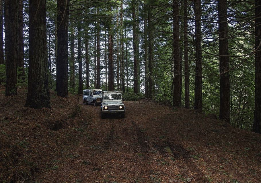 Madeira: The Enchanting North - São Jorge Off-Road Adventure: The Part You’ll Talk About Later