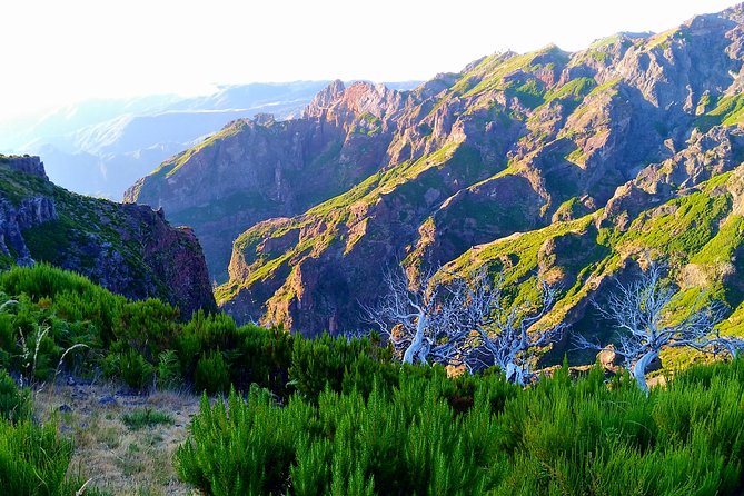Madeira Top Sunrise - Your 4:00am start: why it feels so worth it