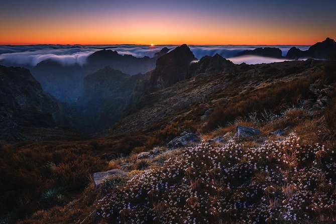 Madeira Top Sunrise - Price and value: who this tour makes sense for