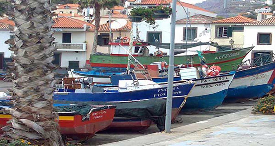 Madeira - Vineyard Tour Wine Tasting - Included - Price and value: does $85 make sense for Madeira?