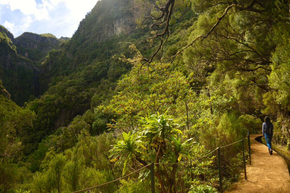 Madeira Walks - Rabaçal and the 25 Fountains - Price and Value: Is $50 a Good Deal?