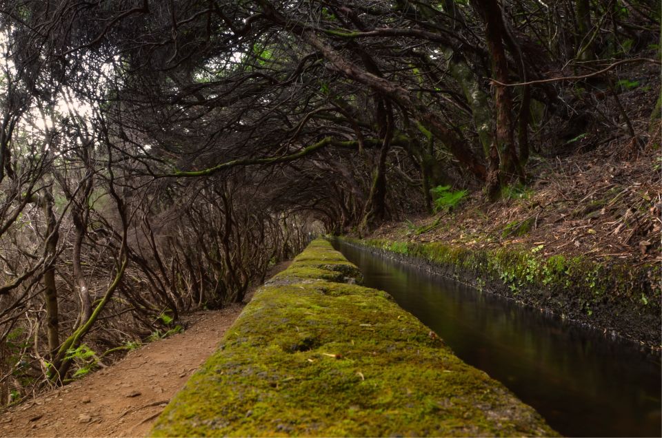 Madeira Walks - Rabaçal and the 25 Fountains - What 25 Fountains Actually Means on the Ground