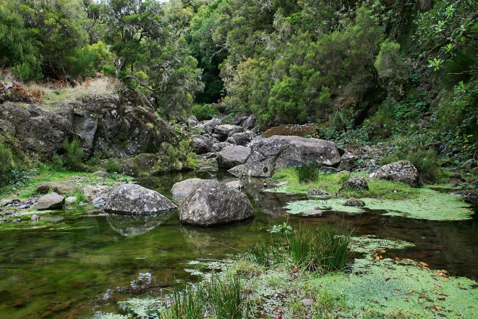 Madeira Walks - Rabaçal and the 25 Fountains - Stops That Break Up the Effort: Café Breaks and Timing