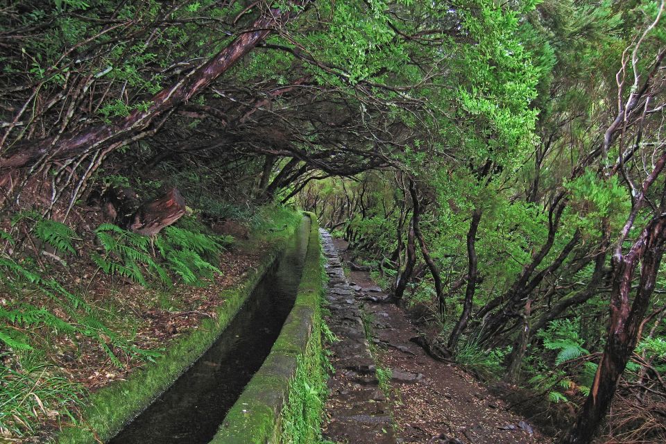 Madeira Walks - Rabaçal and the 25 Fountains - The Tunnel Moment and Step-Heavy Reality