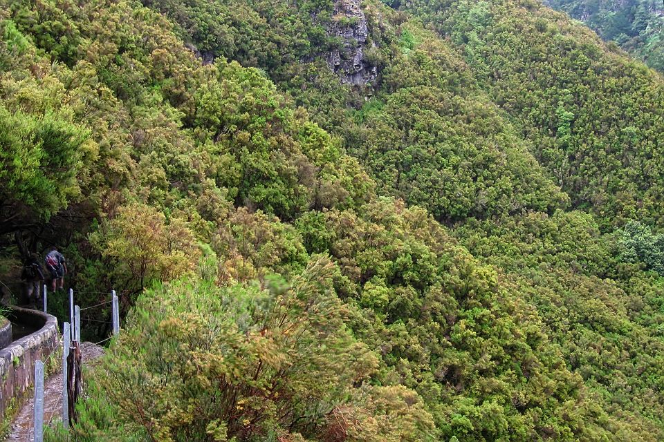 Madeira Walks - Rabaçal and the 25 Fountains - Guides: The Human Factor That Makes It Better