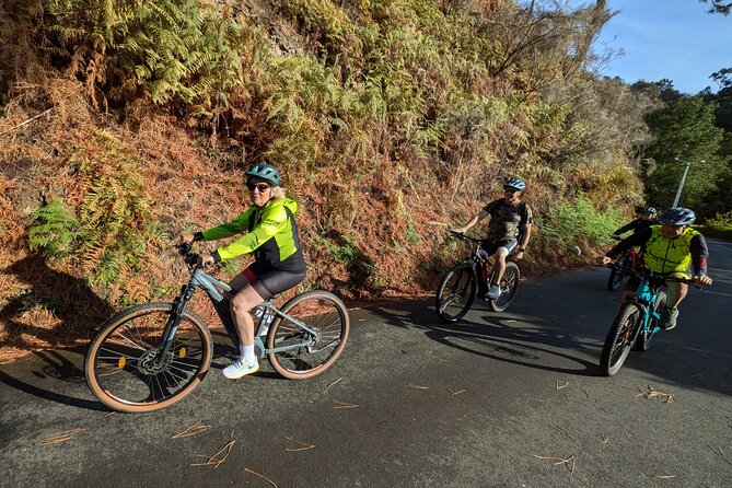 Madeira West Coast E-Bike Tour - Price and Value: What $75.63 Gets You on a 5-Hour Half-Day