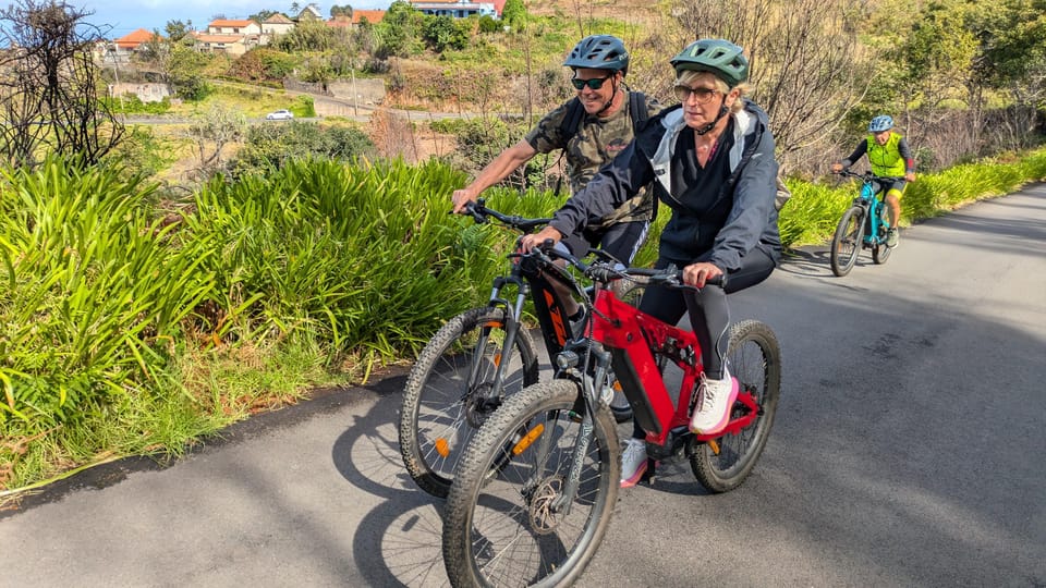 Madeira West coast: Guided Sightseeing E-Bike Tour - Farm Fields and Irrigation Systems: Seeing How West Madeira Works