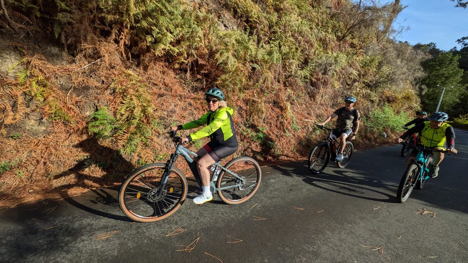 Madeira West coast: Guided Sightseeing E-Bike Tour - E-Bike Quality, Guide Control, and Road Conditions