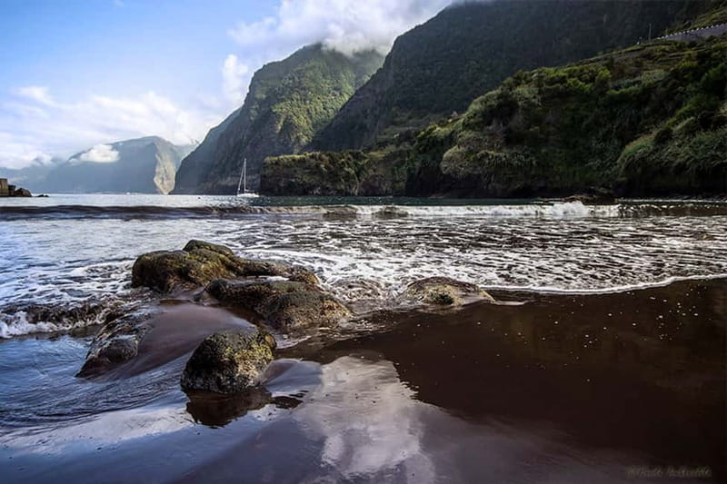 Madeira West Island Full-Day Tour with Fanal Forest - West Madeira for $62: What You’re Really Paying For