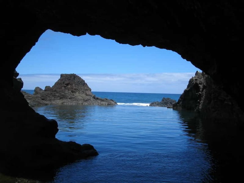 Madeira West Island Full-Day Tour with Fanal Forest - The Small Minibus Advantage (and the Tight-Leg Reality)