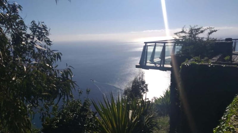 Madeira West Island Full-Day Tour with Fanal Forest - Câmara de Lobos to Cabo Girão: Ocean Views That Set the Tone