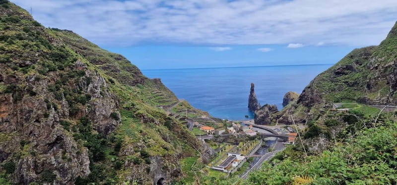 Madeira West Island Full-Day Tour with Fanal Forest - Fanal Forest Walk: The Laurel Trees That Feel Otherworldly