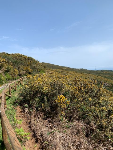 Madeira West Safari - The natural lava pools of Porto Moniz - Ribeira Brava and Ponta do Sol: Old Roads, Quick Big Ocean Moments