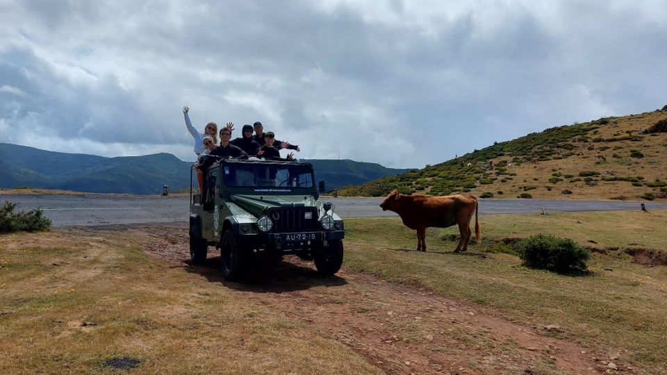 Madeira West Safari - The natural lava pools of Porto Moniz - Price and What You Really Get for $82